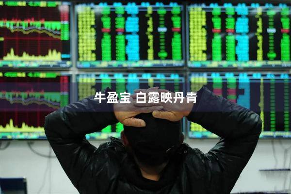 牛盈宝 白露映丹青