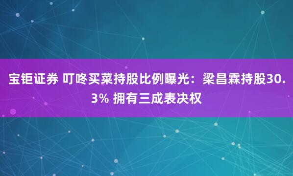 宝钜证券 叮咚买菜持股比例曝光：梁昌霖持股30.3% 拥有三成表决权